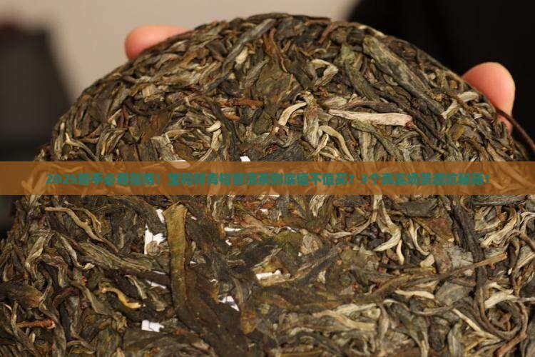 宝和祥青柑普洱茶怎么样
