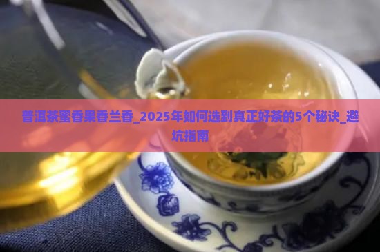普洱茶蜜香果香兰香