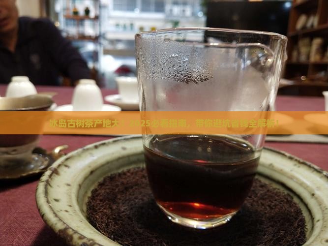 冰岛古树茶哪里产的