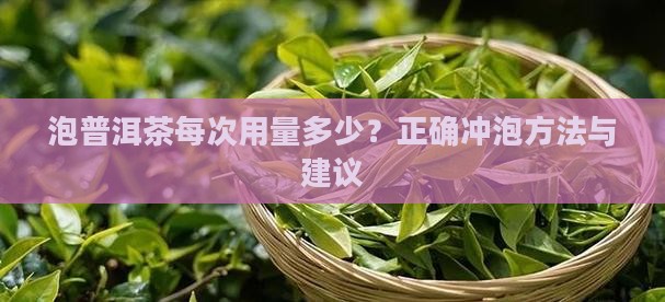 泡普洱茶每次用量多少