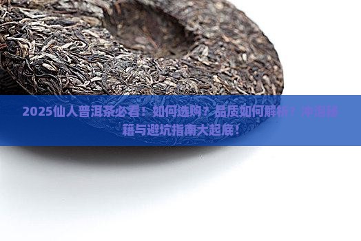 仙人普洱茶专场