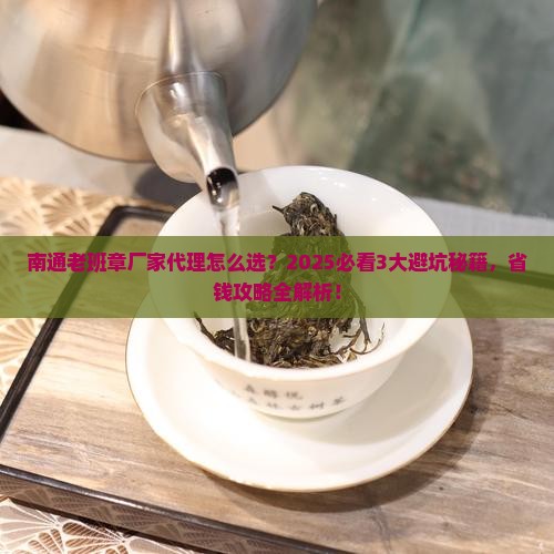 南通老班章厂家代理