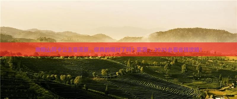 南糯山阿卡公主普洱茶特点
