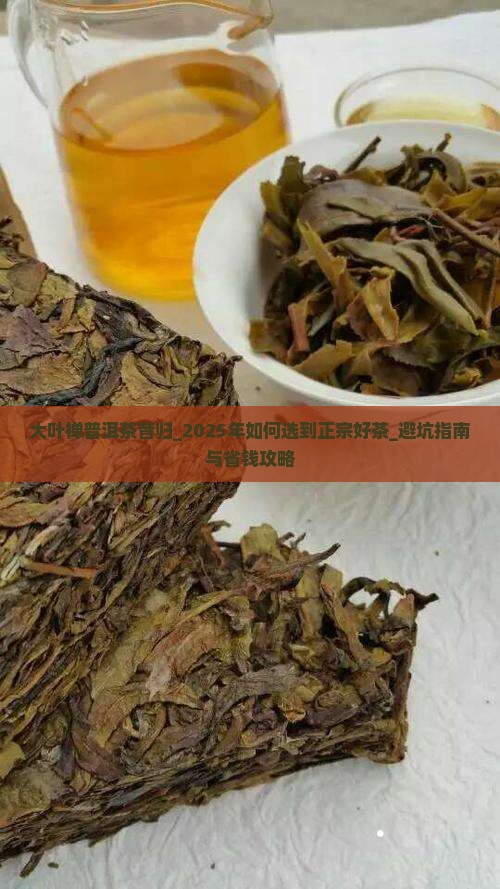 大叶禅普洱茶昔归