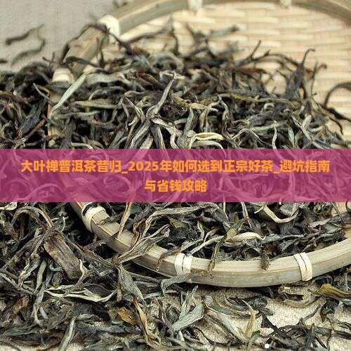 大叶禅普洱茶昔归