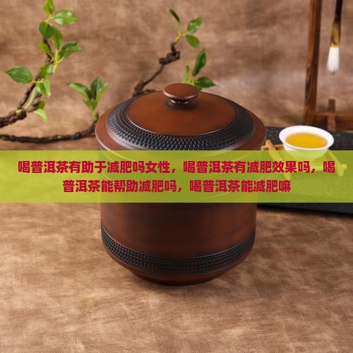 喝普洱茶有助于减肥吗
