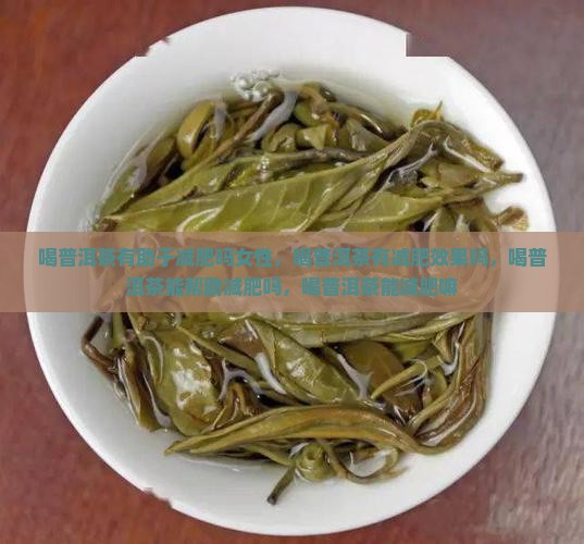 喝普洱茶有助于减肥吗