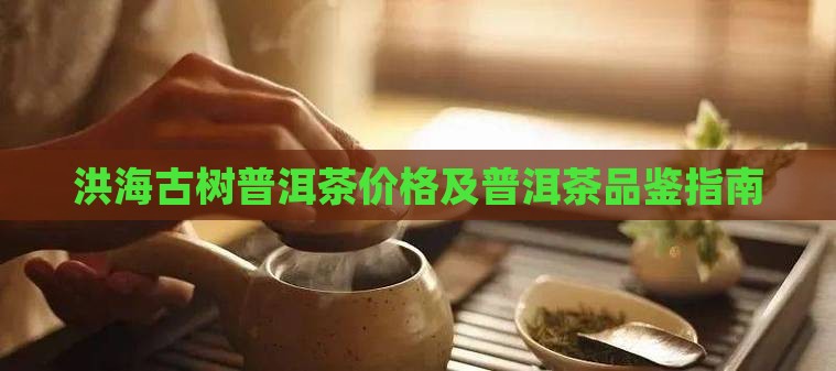 洪海古树生普洱茶价格
