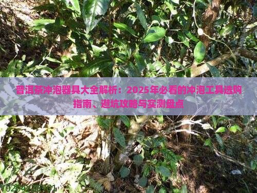 普洱茶冲泡器具有哪些种类