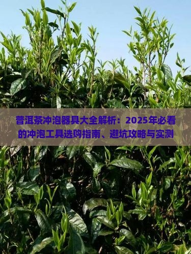 普洱茶冲泡器具有哪些种类