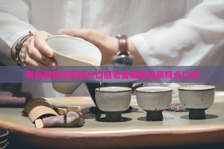 老曼峨普洱茶特点口感