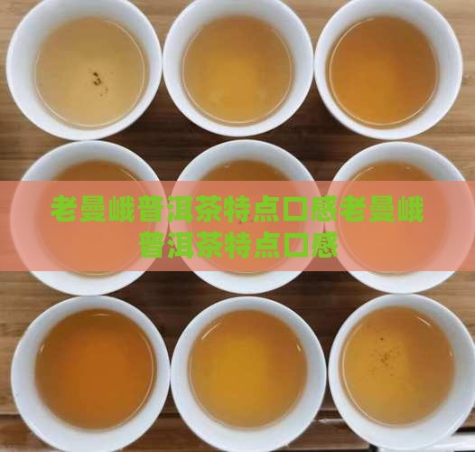 老曼峨普洱茶特点口感