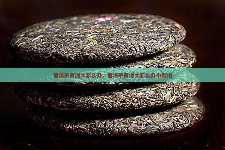 普洱茶有泥土怎么办