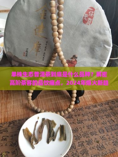 单株生态普洱茶是什么品种