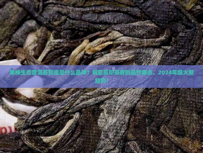 单株生态普洱茶是什么品种