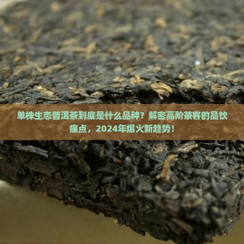 单株生态普洱茶是什么品种