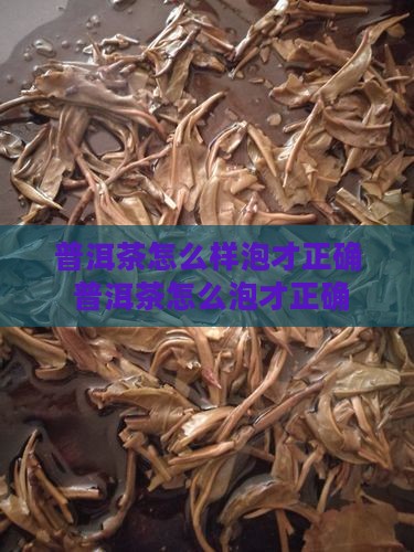普洱茶怎么样泡才正确 普洱茶怎么样泡才正确