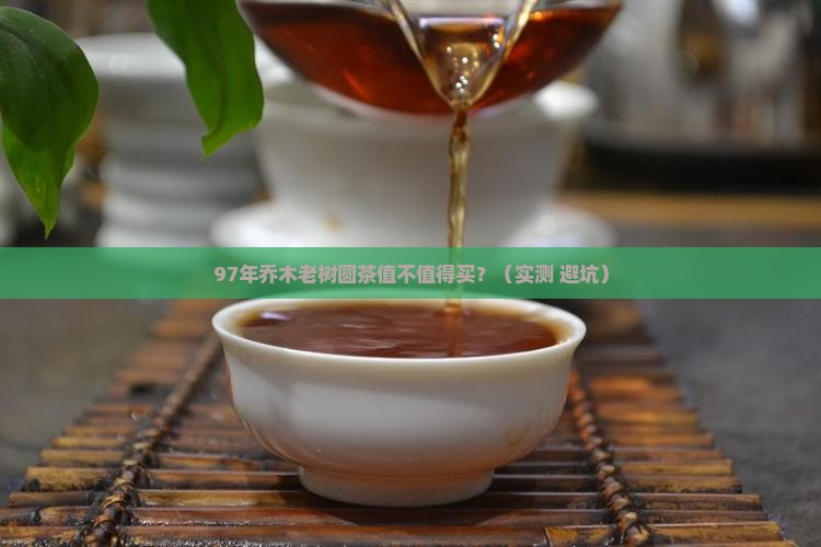 97年乔木老树圆茶价格