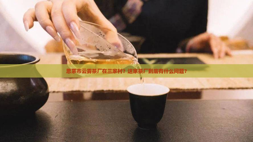 思茅市云雾茶厂在三家村