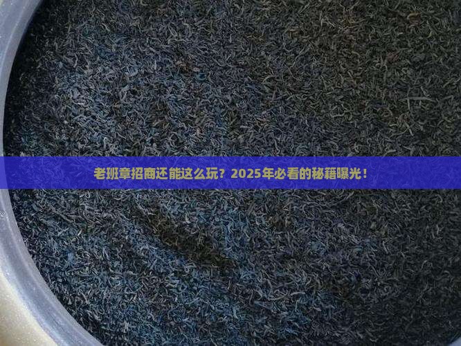 福建知名老班章招商条件