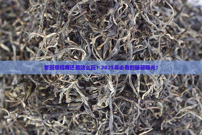 福建知名老班章招商条件