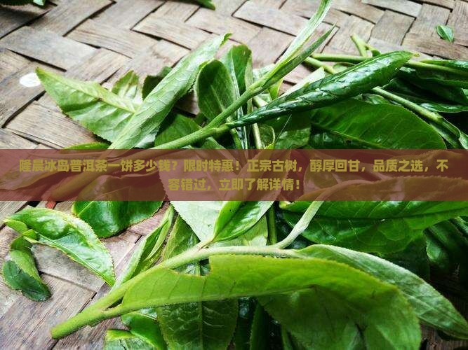 隆晨冰岛普洱茶一饼多少钱