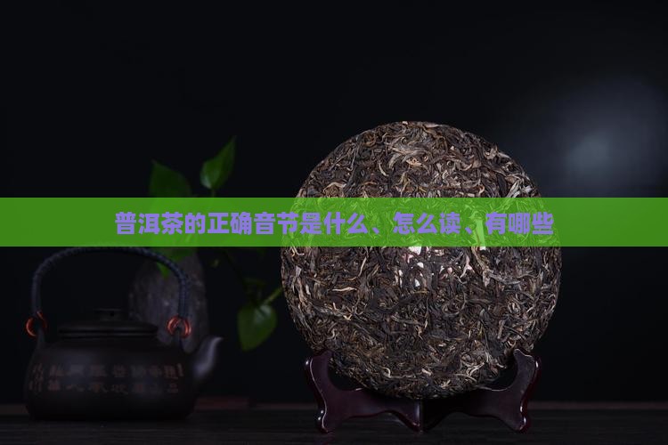 普洱茶的正确音节
