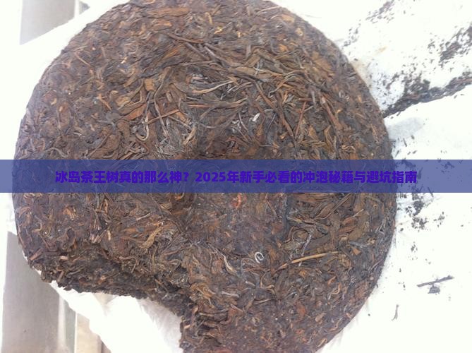 冰岛茶王树的做法