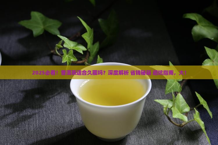 普洱茶适合久藏吗