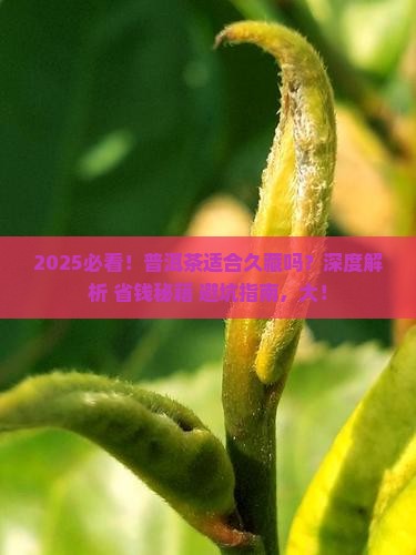 普洱茶适合久藏吗