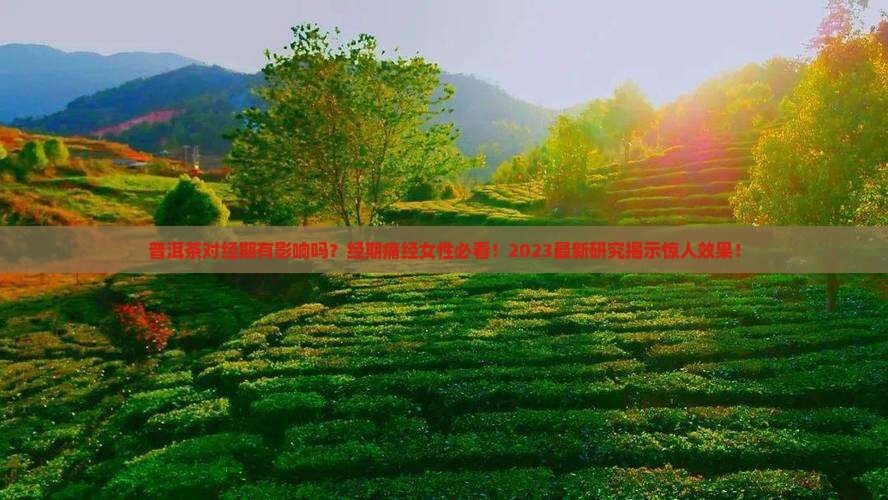 普洱茶对经期有影响吗