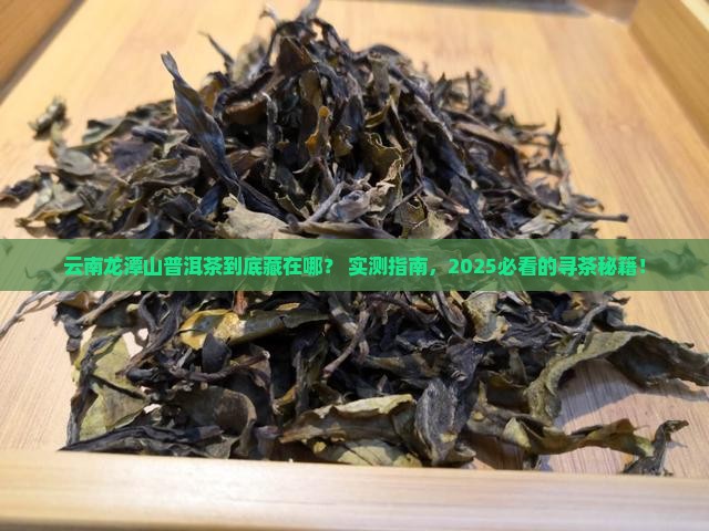 云南龙潭山普洱茶在哪里