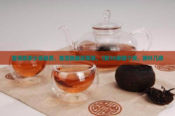 普洱茶多少级最贵