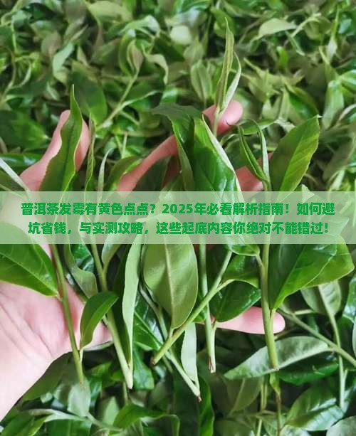 普洱茶发霉有黄色的点点