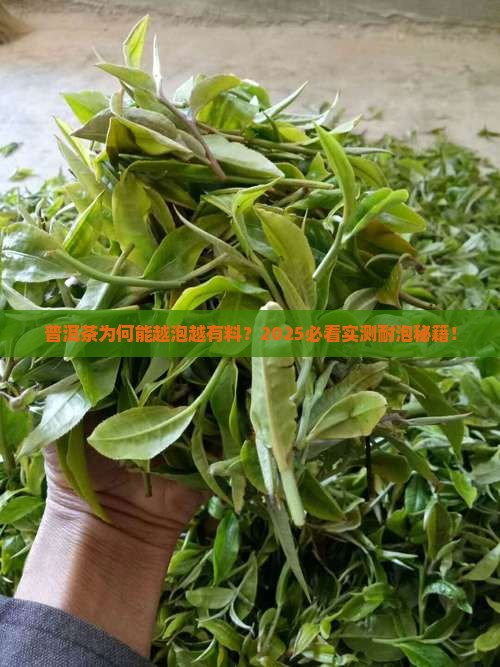 普洱茶为什么有些茶很耐泡 普洱茶为什么有些茶很耐泡