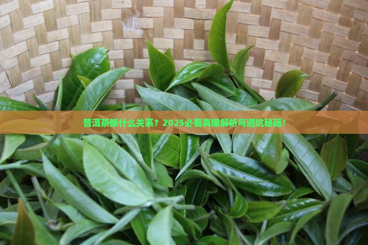 普洱茶像什么关系