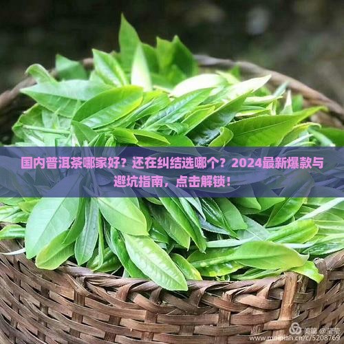 国内普洱茶哪家好