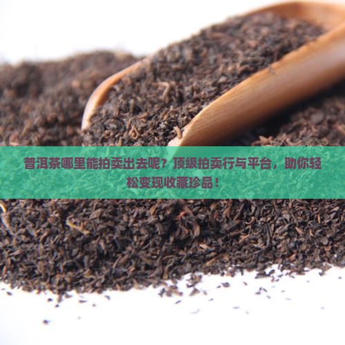 普洱茶哪里能拍卖出去呢