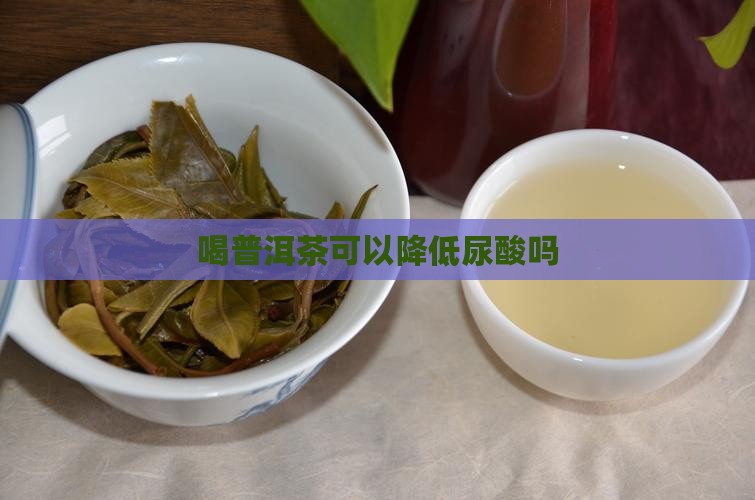 喝普洱茶可以降低尿酸吗