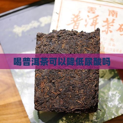 喝普洱茶可以降低尿酸吗