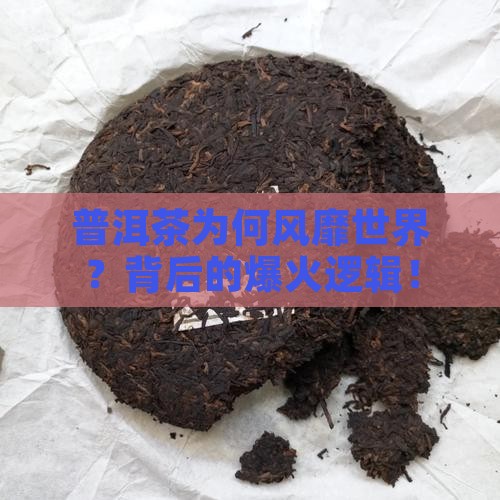普洱茶风靡世界的品牌