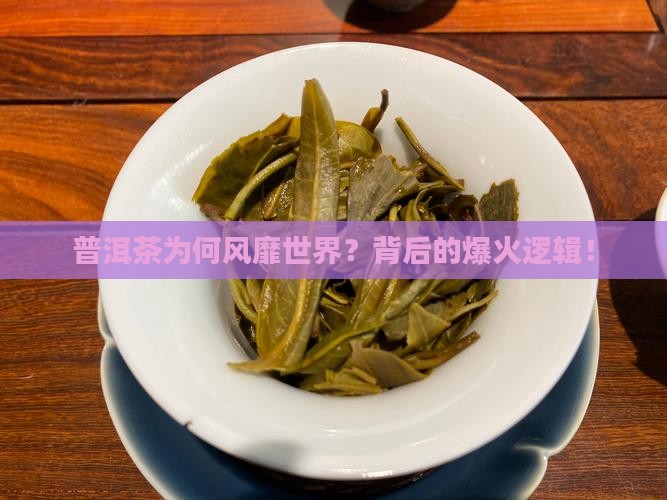 普洱茶风靡世界的品牌