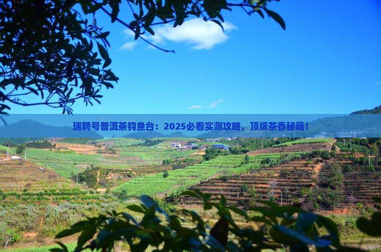 瑞聘号普洱茶钧鱼台