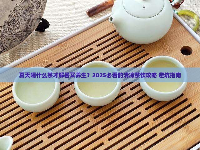 夏季适合喝什么茶叶