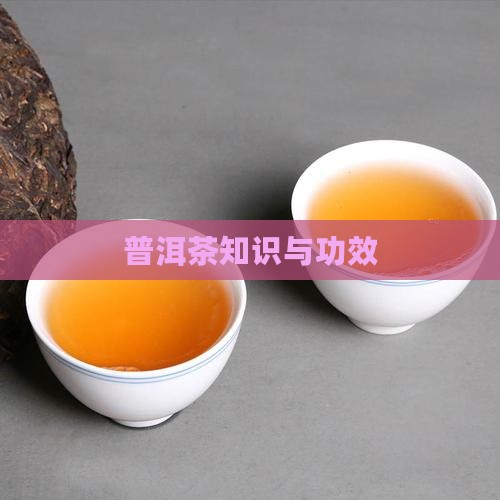 普洱茶知识与功效