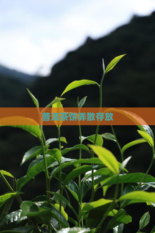 普洱茶饼弄散存放
