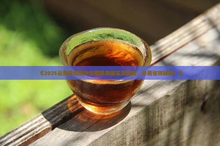 云南普洱茶叶珍藏茶