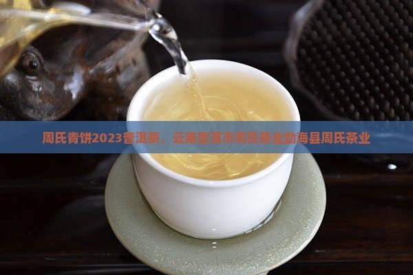 周氏青饼2023普洱茶