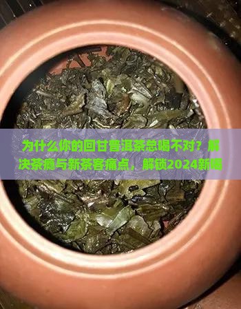 回甘普洱茶来源