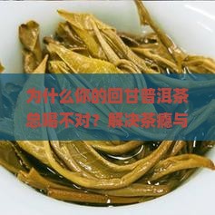 回甘普洱茶来源